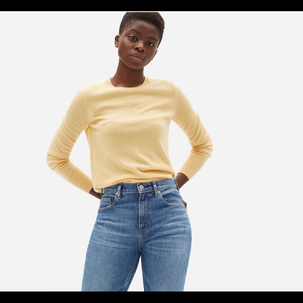 Everlane Japanese cheeky jean